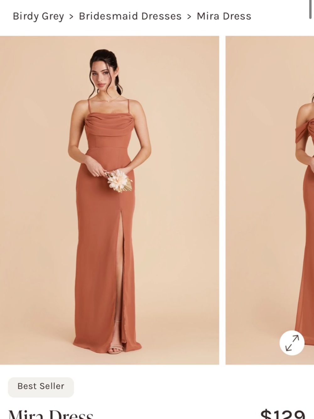 Birdy Grey Mira Chiffon Dress in Terracotta